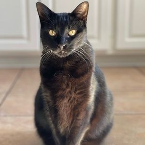 Meet your Posher, Haley